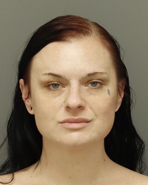 LEE GRUDZINSKI MADILINE Info, Photos, Data, and More / Wake County Public Records