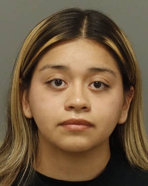 MARIANA MELISSA MENDOZA-HERNANDEZ Fotos y informacion de registros de registros publicos del condado de Wake County NC