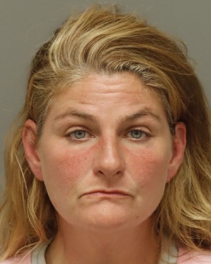 NICOLE STRICKLAND MARY Info, Photos, Data, and More / Wake County Public Records