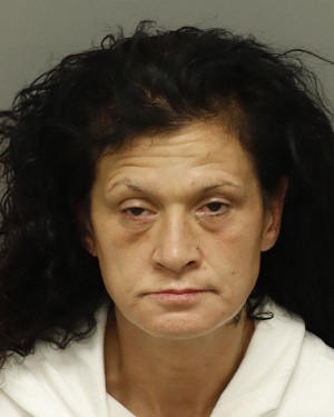 MICHELE EGAN MCALISTER Fotos y informacion de registros de registros publicos del condado de Wake County NC