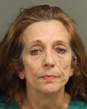 KING STEPHENSON MILLIE Info, Photos, Data, and More / Wake County Public Records