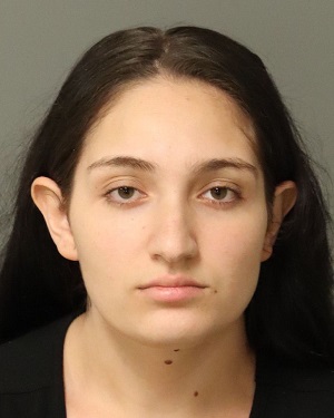 PATRIZIA DINU Fotos y informacion de registros de registros publicos del condado de Wake County NC