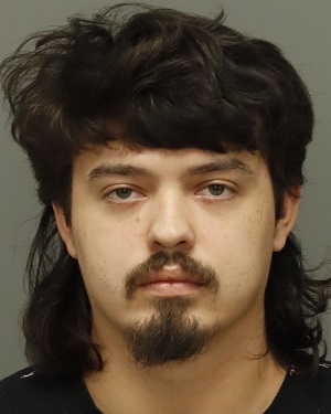 KELL MENDOZA RICARDO Info, Photos, Data, and More / Wake County Public Records