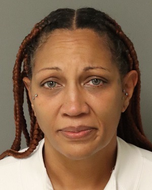 SHAUNA TVEDT DAVIS Fotos y informacion de registros de registros publicos del condado de Wake County NC