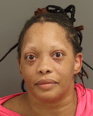 LEE WILSON STACEY Info, Photos, Data, and More / Wake County Public Records