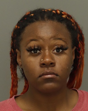 TAMARA ANIA HILL-BLUE Fotos y informacion de registros de registros publicos del condado de Wake County NC