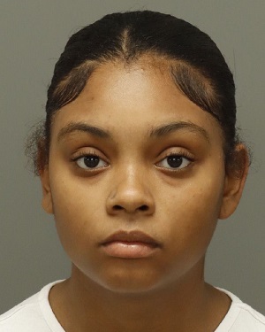 ASHEA CHAVIS TANAYA Info, Photos, Data, and More / Wake County Public Records