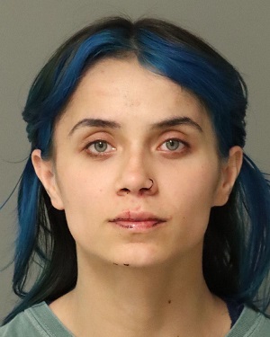 VENNA KALISTA VICENTE Fotos y informacion de registros de registros publicos del condado de Wake County NC