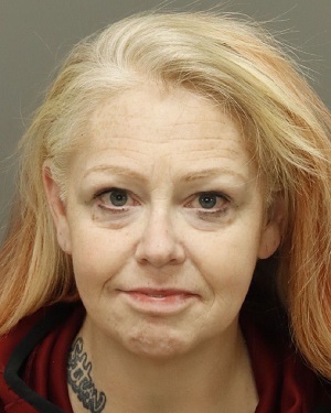 VICTORIA WAYNE TUDOR Fotos y informacion de registros de registros publicos del condado de Wake County NC