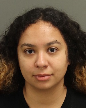 YASMIN IHAB AFIFI Fotos y informacion de registros de registros publicos del condado de Wake County NC