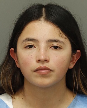 ANDREA GORDILLO-CHACON YISEL Info, Photos, Data, and More / Wake County Public Records