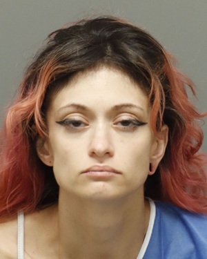 ALYSSA ARIEL TISINGER Fotos y informacion de registros de registros publicos del condado de Wake County NC