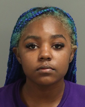NAIOMI DORSEY AMANDA Info, Photos, Data, and More / Wake County Public Records