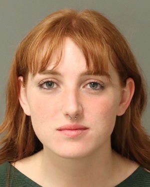 DIANE LEBLANC AMELIA Photos - Images - Public Records / Public Information Report For DIANE LEBLANC AMELIA