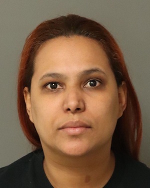 ANDREINA BONIFACIO-ALMONT Fotos y informacion de registros de registros publicos del condado de Wake County NC