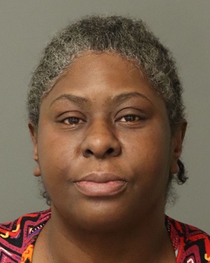 NICOLE DEBNAM ANGELA Info, Photos, Data, and More / Wake County Public Records