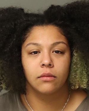 ARIANNA LIN JENKINS Fotos y informacion de registros de registros publicos del condado de Wake County NC