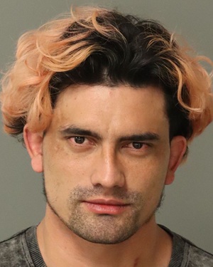 DAVID REYES-REDONDO ARNOLD Photos - Images - Public Records / Public Information Report For DAVID REYES-REDONDO ARNOLD
