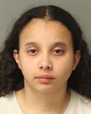 FAITH O'NEIL BREIGHANA Photos - Images - Public Records / Public Information Report For FAITH O'NEIL BREIGHANA