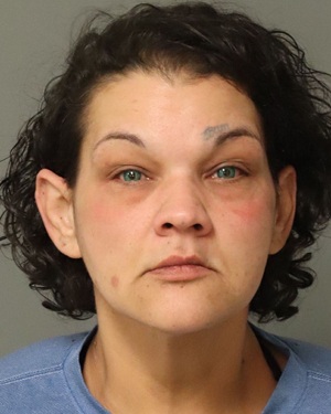 LEE BROWN BRITTANY Photos - Images - Public Records / Public Information Report For LEE BROWN BRITTANY