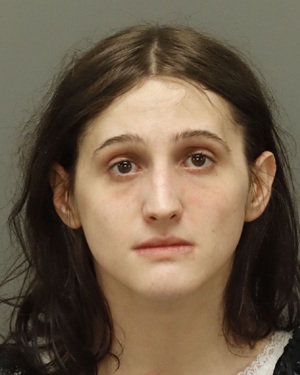 ALEXANDER NOTTINGHAM CAELAN Info, Photos, Data, and More / Wake County Public Records