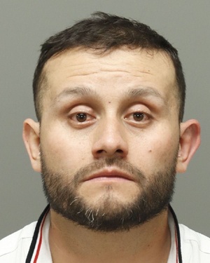 ANDRES CESPEDES-BOLANOS CAMILO Photos - Images - Public Records / Public Information Report For ANDRES CESPEDES-BOLANOS CAMILO