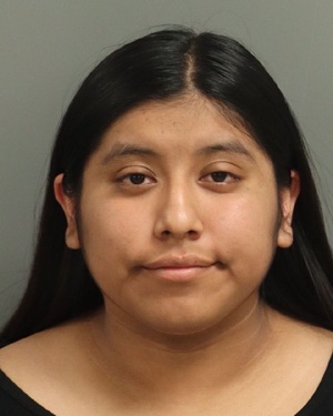 RAMIREZ-GARCIA CRISTAL Photos - Images - Public Records / Public Information Report For RAMIREZ-GARCIA CRISTAL