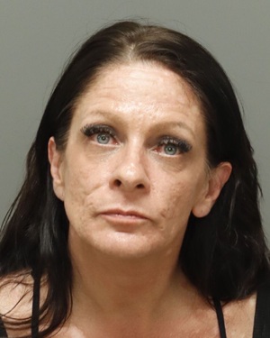 DANIELLE MICHELLE TSAKOUNIS Fotos y informacion de registros de registros publicos del condado de Wake County NC