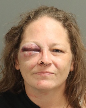 PATRICIA WALSH DANIELLE Info, Photos, Data, and More / Wake County Public Records