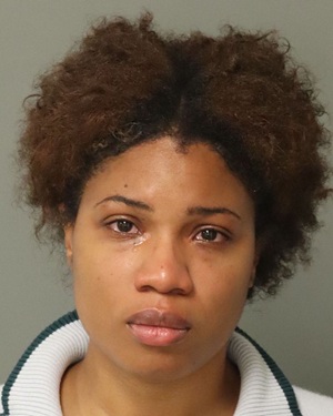 DARINESHA ANNTOINETTE JOHNSON Fotos y informacion de registros de registros publicos del condado de Wake County NC