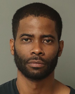 CERRONE HAMILTON DARIUS Photos - Images - Public Records / Public Information Report For CERRONE HAMILTON DARIUS