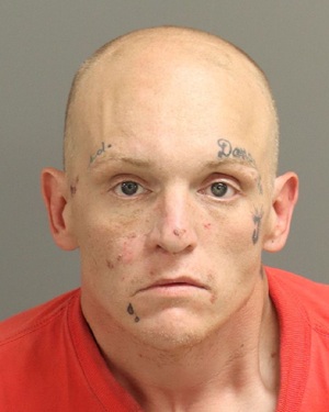 JOSHUA WALKER DAVID Photos - Images - Public Records / Public Information Report For JOSHUA WALKER DAVID