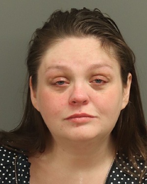 LYNN HAIG DESTINY Info, Photos, Data, and More / Wake County Public Records