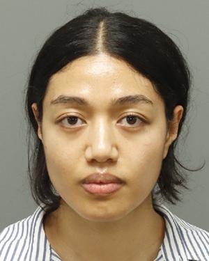 FALESATUI MAPUOLETULI DIANA Info, Photos, Data, and More / Wake County Public Records