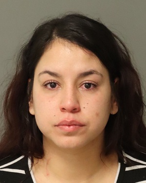 DIANA MARIA VIELMA-SUMOZA Fotos y informacion de registros de registros publicos del condado de Wake County NC