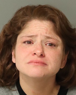 ANGELICA HERNDON DULCE Info, Photos, Data, and More / Wake County Public Records