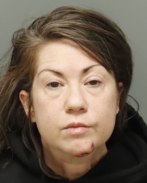 YVETTE HOOD EDRIANA Photos - Images - Public Records / Public Information Report For YVETTE HOOD EDRIANA