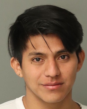 D'AGOBERTO CHAVEZ-TOBIAS ELIAZAR Info, Photos, Data, and More / Wake County Public Records