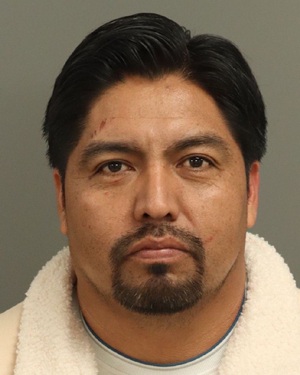 MISAEL ORTIZ-VELASQUEZ ELMAN Photos - Images - Public Records / Public Information Report For MISAEL ORTIZ-VELASQUEZ ELMAN