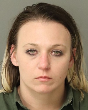 LEE HOPPE ERIN Info, Photos, Data, and More / Wake County Public Records