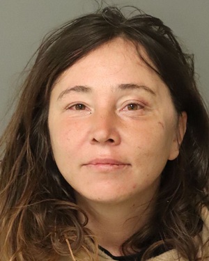 NICOLE TESSIEN EUGENYA Info, Photos, Data, and More / Wake County Public Records