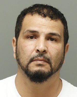 AHMED NASSER FATHY Photos - Images - Public Records / Public Information Report For AHMED NASSER FATHY