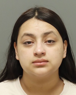 MICHELL PEREZ-MILLIAN GENESIS&nbsp;DANA Photos - Images - Public Records / Public Information Report For MICHELL PEREZ-MILLIAN GENESIS&nbsp;DANA