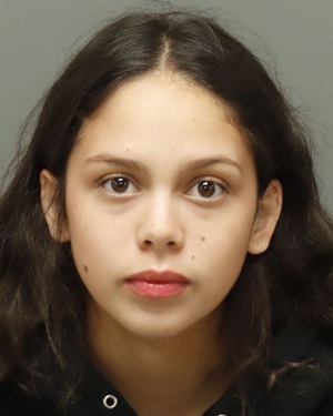 ADELINA POMPEO GIANNA Photos - Images - Public Records / Public Information Report For ADELINA POMPEO GIANNA