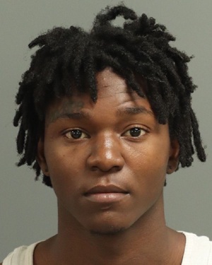 JAMAURI DEANTHANY DEVINE Fotos y informacion de registros de registros publicos del condado de Wake County NC