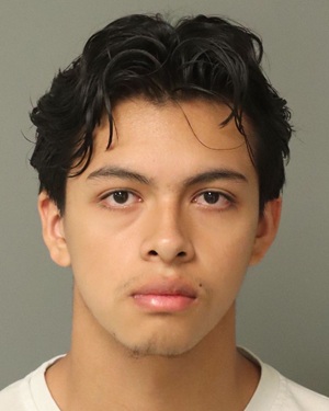 MANUEL SALGADO JASON Info, Photos, Data, and More / Wake County Public Records