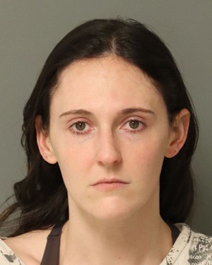 SALLIE BRITTON JENNIE Info, Photos, Data, and More / Wake County Public Records