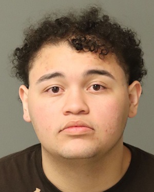 ALEKSEY SOTO-MOJICA JEROME Photos - Images - Public Records / Public Information Report For ALEKSEY SOTO-MOJICA JEROME