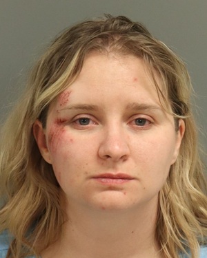 DANIELLE FAIRLEY JESSICA Info, Photos, Data, and More / Wake County Public Records