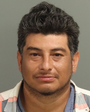ALBERTO MALDONADO-ROBLED JORGE Info, Photos, Data, and More / Wake County Public Records